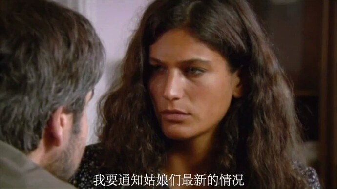 截屏2025-01-19 12.37.17