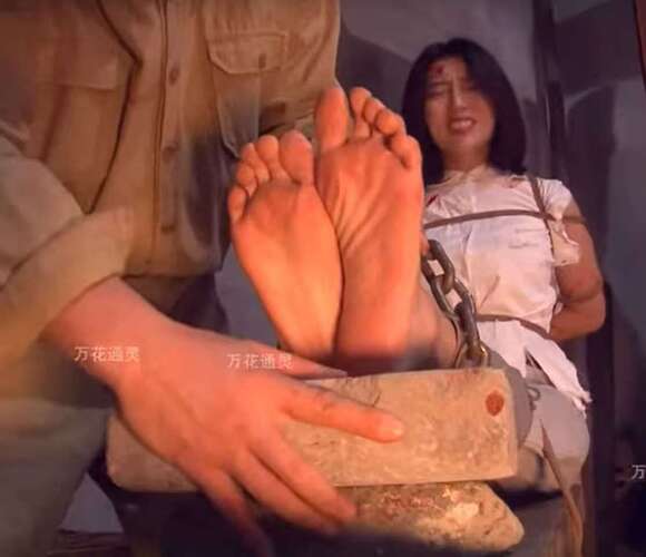 87e9d5528316ce4dcc508918a894edc2