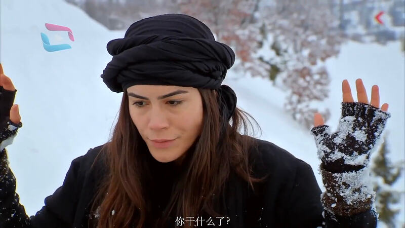 截屏2026-02-21 19.17.35