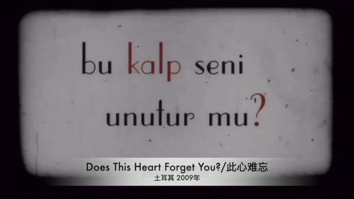 截屏2025-01-19 12.36.22