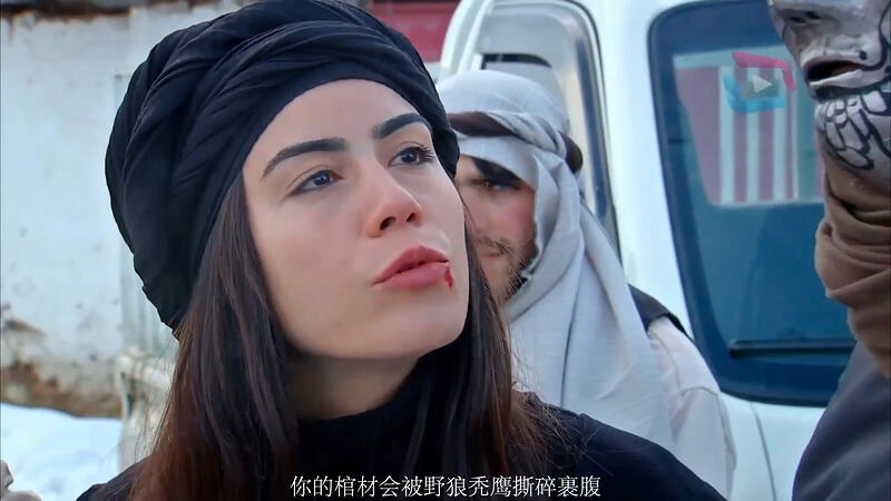 截屏2026-02-21 19.18.29