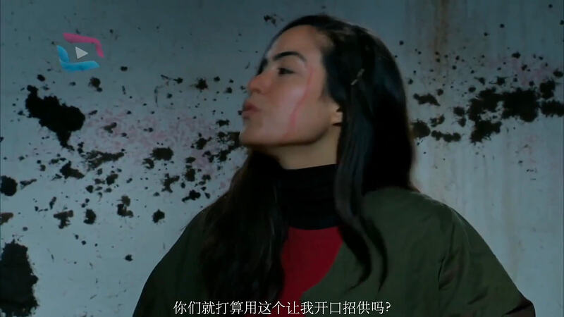 截屏2026-02-21 19.21.30