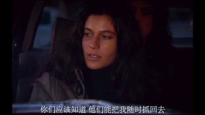 截屏2025-01-19 12.55.08