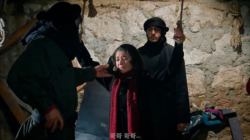 截屏2026-02-21 19.07.35