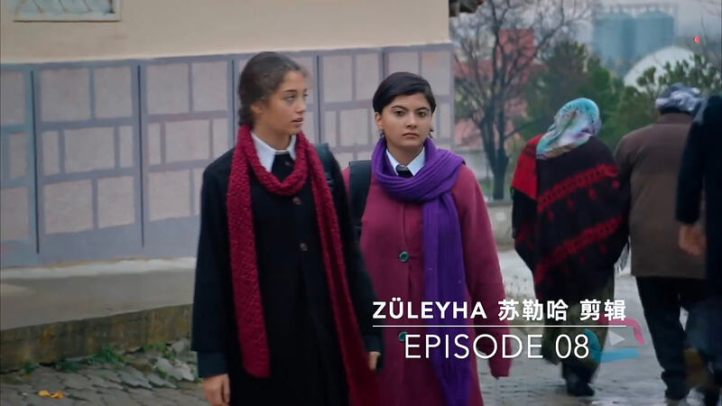 截屏2026-02-21 19.06.32