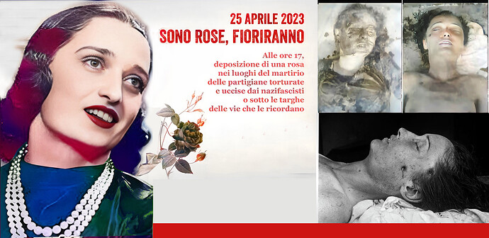 anpi-sono-rose