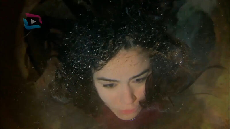 截屏2026-02-21 19.21.41