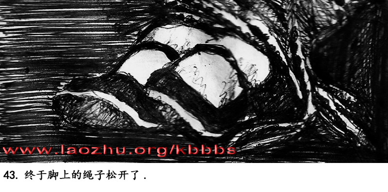 lhf043