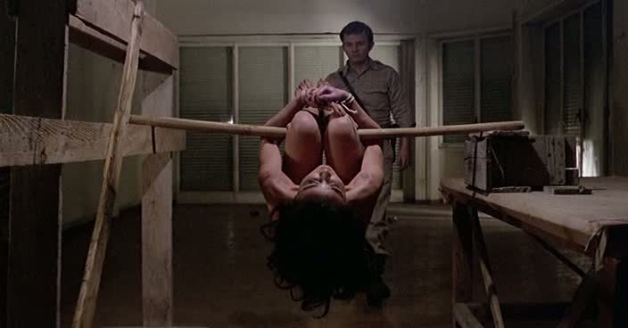 68c0fa24ce68d6e417c4d0ff737c72951da54563